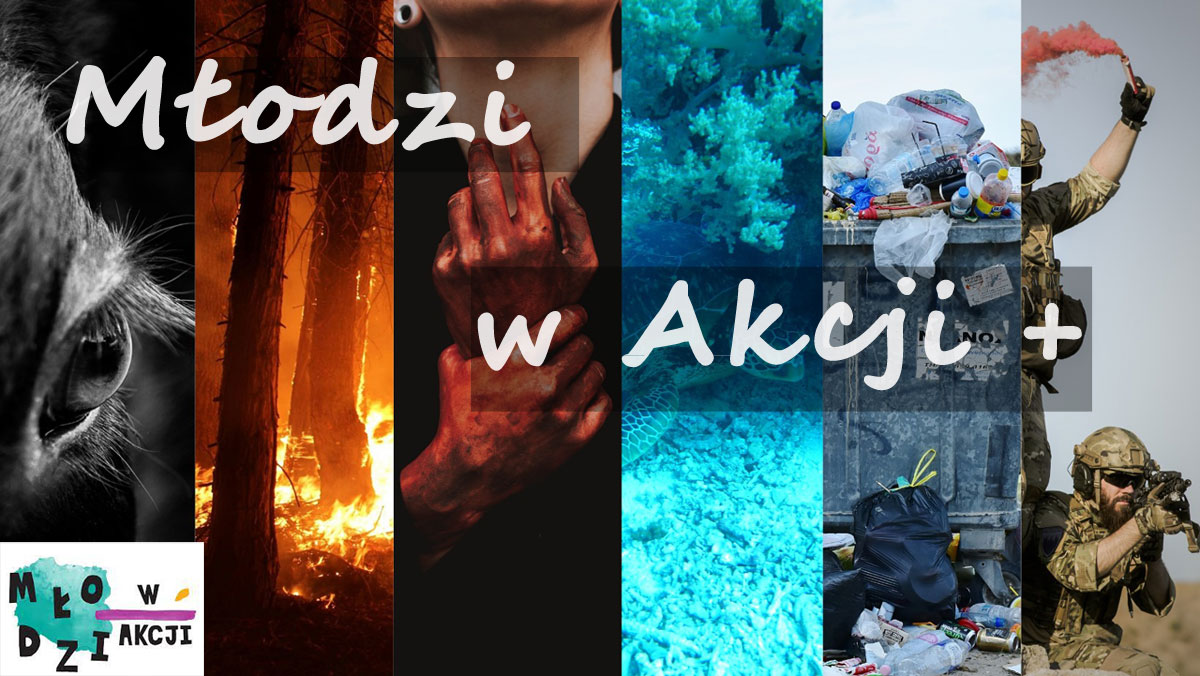 młodzi